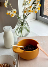Load image into Gallery viewer, (Kid-Friendly) Cocoa Crunch Granola